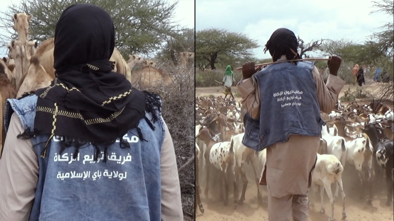 Muuqaalka Zako Qeybin Laga Sameeyay Buulo-fullaay oo la Baahiyay.[DHAGEYSO]