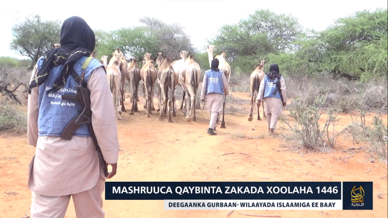 Muuqaalka Sako Qeybin Laga Sameeyay Deegaan Katirsan Baay oo la Baahiyay.[DHAGEYSO]