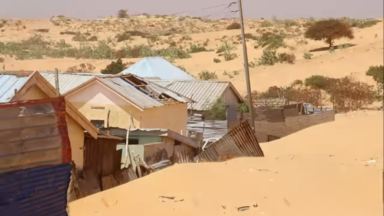 Xaafad Kamid ah Kismaayo oo Laga Socon La’yahay Bacaad Jaray Wadooyinka.