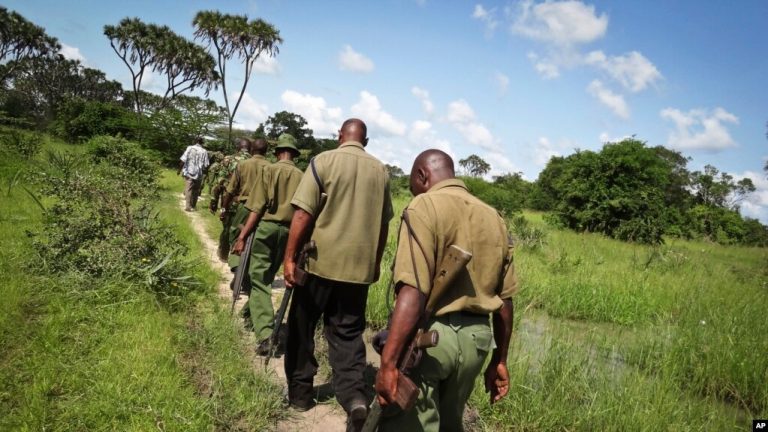 Kenya oo ka Walaacsan Awoodda Al-Shabaab ee Kusii Xoogeysaneysa Dalkeeda.[DHAGEYSO]