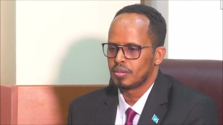 Thaabit Cabdi: Siyaasadda Arimaha Dibadda Dowladda Federaalka Way Jahwareesantahay.