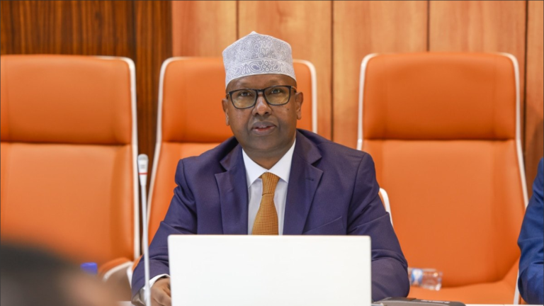 Dowladda Federaalka oo Muujisay inuu Khilaaf Kala Dhexeeya Imaaraatka Carabta.[DHAGEYSO]