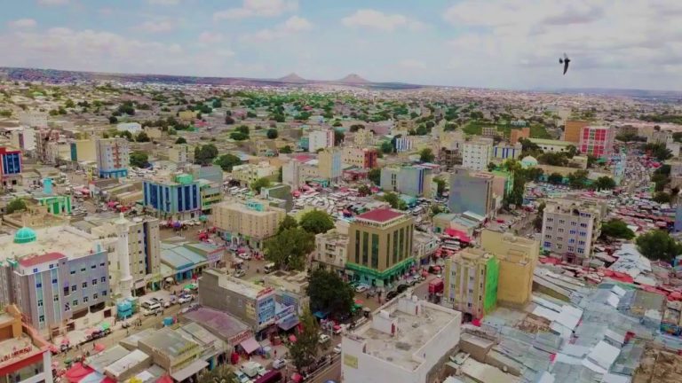 Manhajka Waxbarasho ee Shisheeyaha oo Dhibaato ku Haya Ardayda Soomaaliyeed.