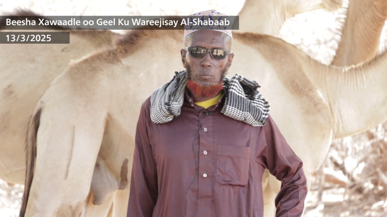 Beesha Xawaadle oo Geel ku Wareejisay Ciidamada Xarakada Al-Shabaab. [Daawo].