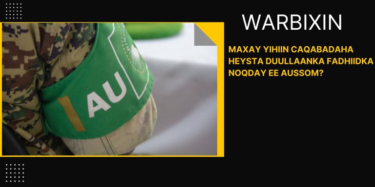 Maxay Yihiin Caqabadaha Heysta Duullaanka Fadhiidka Noqday ee AUSSOM?[WARBIXIN]