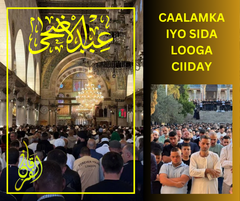 Dhegeyso Barnaamijka Caalamka iyo Sida Looga Ciiday.