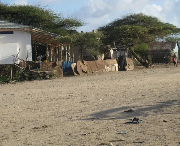 Ciidamada Dowladda Fedaraalka oo Dil iyo Dhaawac ka Geystay Deegaan Katirsan Sh-Hoose.
