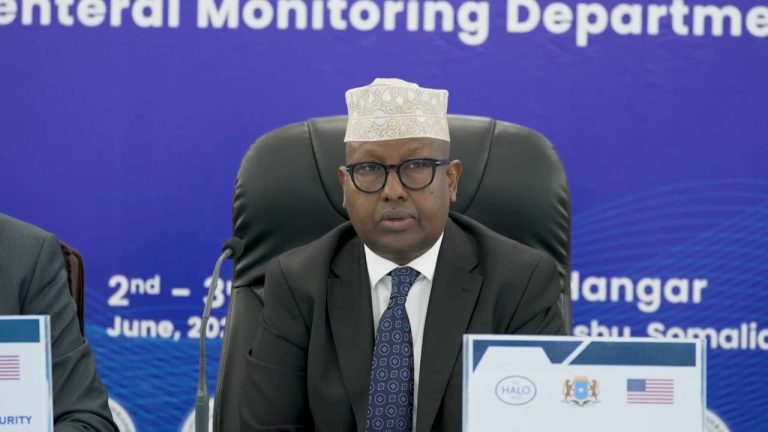 Dowladda Fedaraalka oo Dawarsi u Bandhigatay Reer-Galbeed Taageero Ula’ Shisheeyaha Afrikaanta ah.