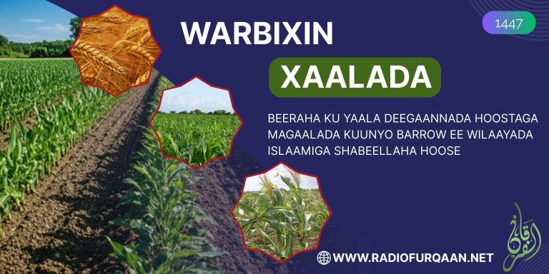 Al-Furqaan oo Booqatay Beero ku Yaalla Degaanada Hootaga Magaalada Kuunyo Barrow.